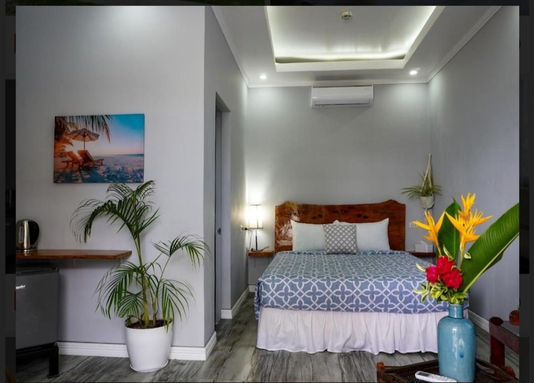 Palm View Moalboal Hotell Eksteriør bilde